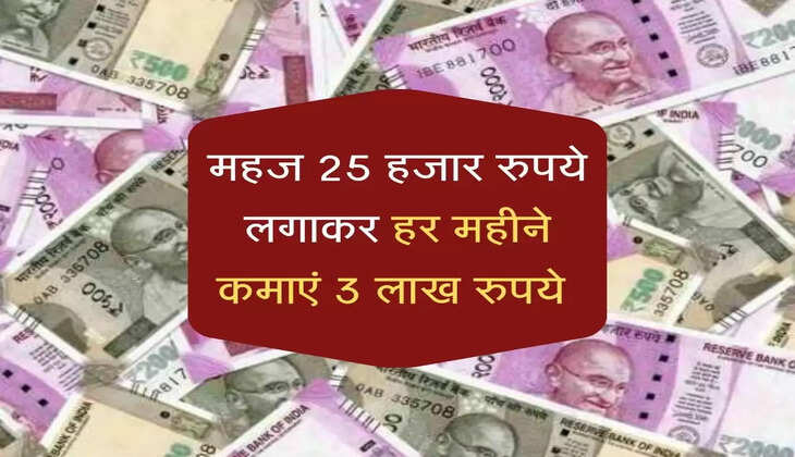 महज 25 हजार रुपये लगाकर शुरू करें ये बिजनेस, हर महीने होगी 3 लाख रुपये कमाई