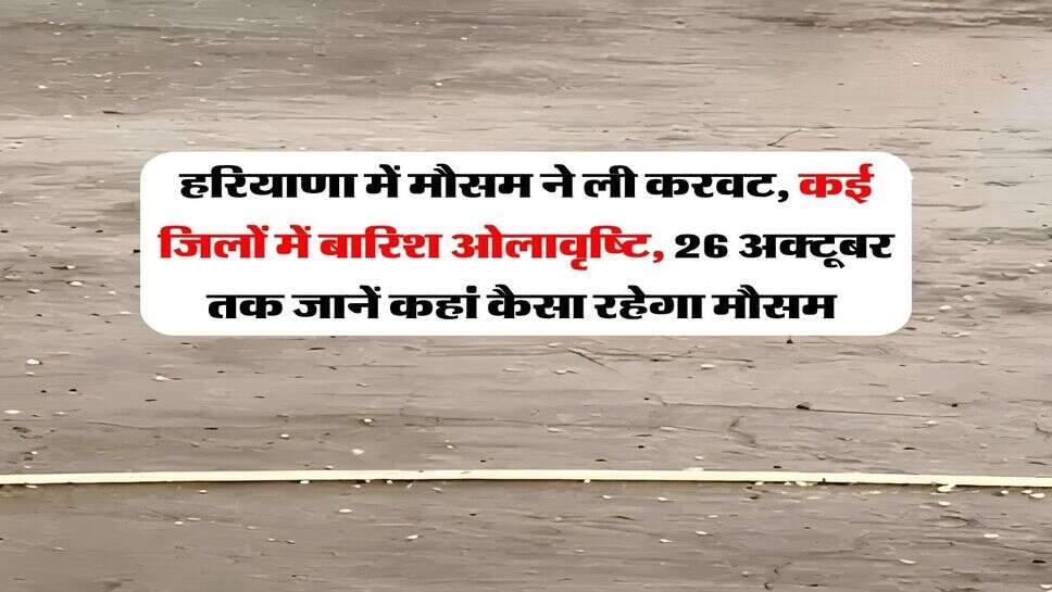 हरियाणा में मौसम ने ली करवट, कई जिलों में बारिश ओलावृष्टि, 26 अक्टूबर तक जानें कहां कैसा रहेगा मौसम&nbsp;