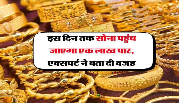 Gold Rate : इस दिन तक सोना पहुंच जाएगा एक लाख पार, एक्सपर्ट ने बता दी वजह