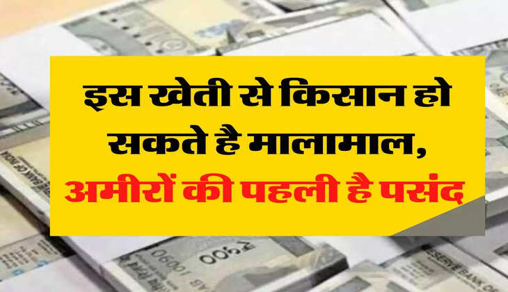 Business Idea : इस खेती से किसान हो सकते है मालामाल, अमीरों की पहली है पसंद 