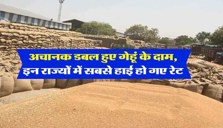 Wheat Price Hike : अचानक डबल हुए गेहूं के दाम, इन राज्यों में सबसे हाई हो गए रेट