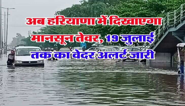 Haryana Rain Alert : अब हरियाणा में दिखाएगा मानसून तेवर, 19 जुलाई तक का वेदर अलर्ट जारी
