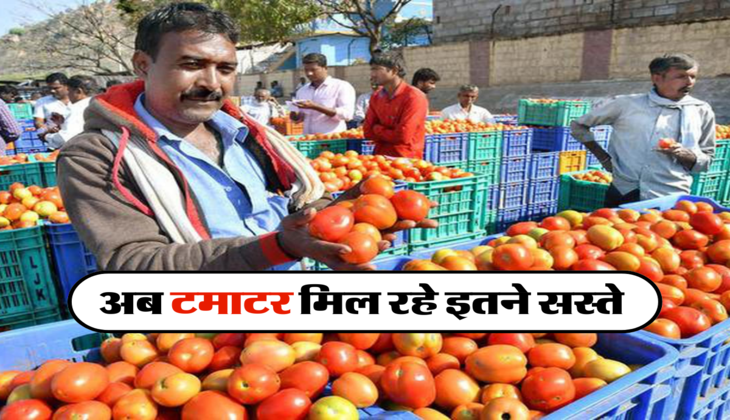 अब टमाटर मिल रहे इतने सस्ते 