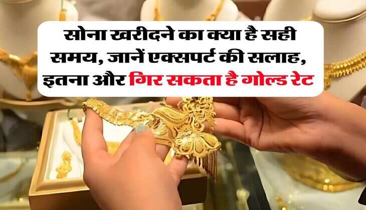 Gold Buying Tips : सोना खरीदने का क्या है सही समय, जानें एक्सपर्ट की सलाह, इतना और गिर सकता है गोल्ड रेट