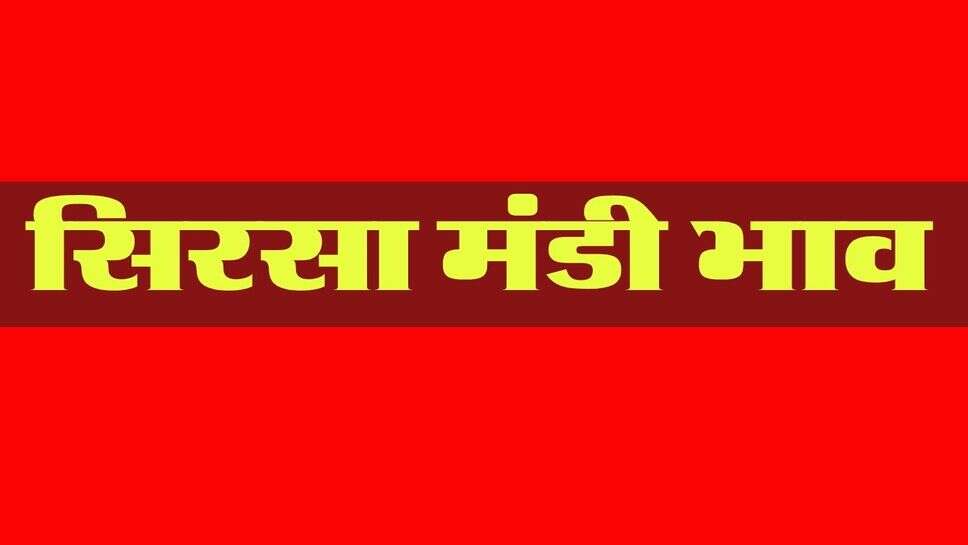 सिरसा मंडी भाव 28 अक्टूबर 2026 : देसी कपास और नरमा की कीमत में तेजी का तड़का, बाजरी का बाजार नरम, धान स्थिर