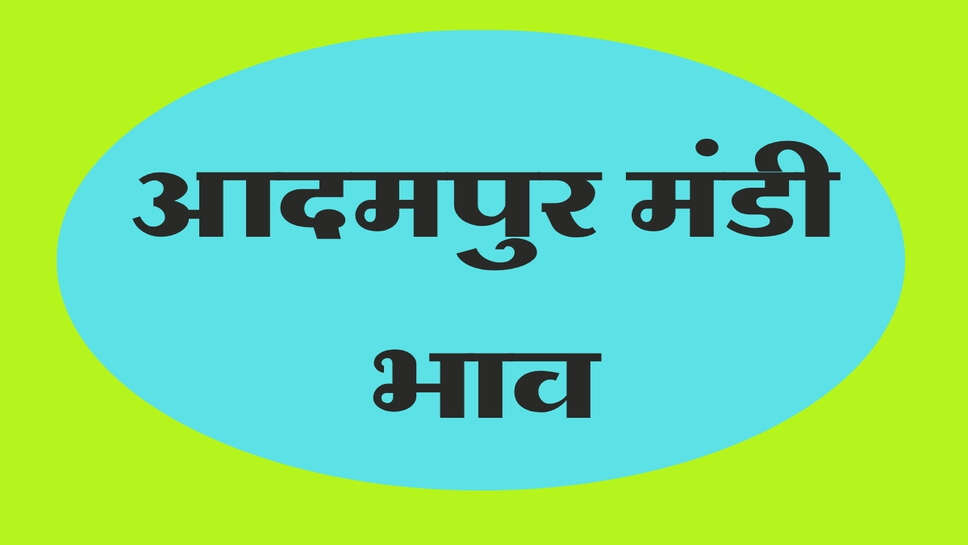 आदमपुर मंडी भाव 18 अक्टूबर 2026: नरमा, सरसों और ग्वार के भाव