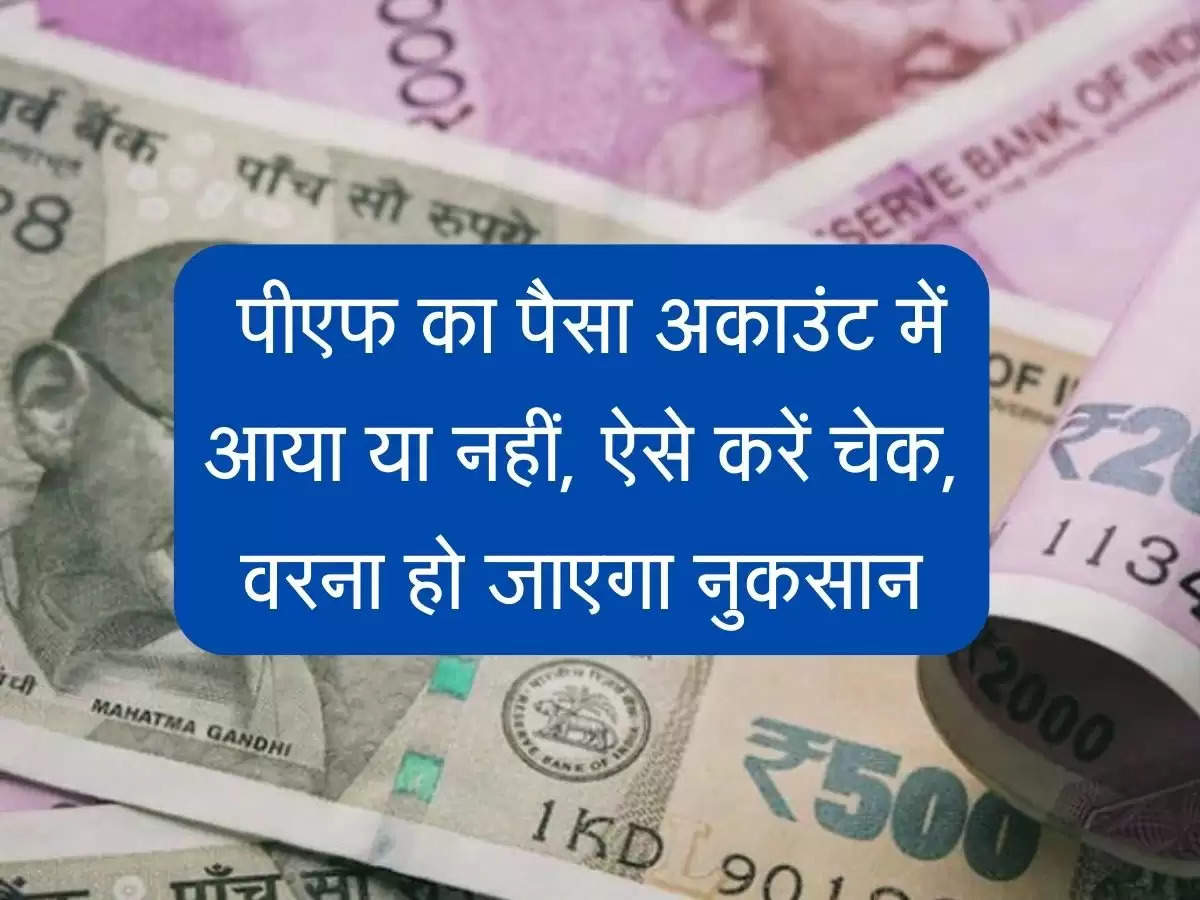 Check PF Balance : पीएफ का पैसा अकाउंट में आया या नहीं, ऐसे करें चेक, वरना हो जाएगा नुकसान