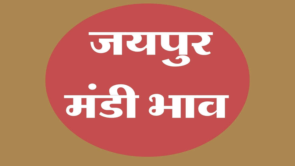 जयपुर मंडी भाव&nbsp;22 अक्टूबर 2026: चना में गिरावट, सरसों और कच्ची घाणी तेल के भाव बढ़े