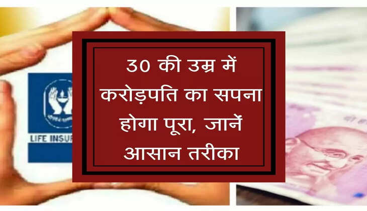 LIC New Policy : 30 की उम्र में करोड़पति का सपना होगा पूरा, जानेंं आसान तरीका