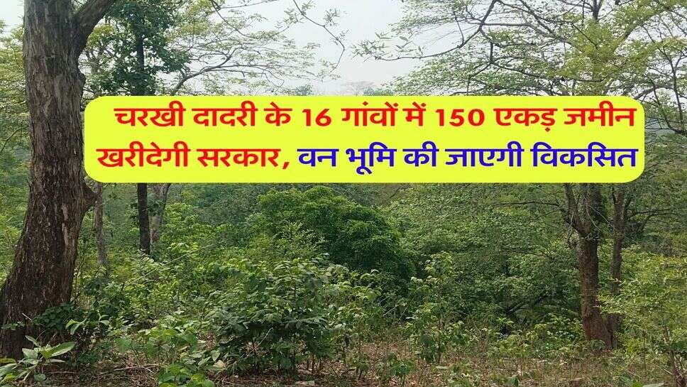 चरखी दादरी के 16 गांवों में 150 एकड़ जमीन खरीदेगी सरकार, वन भूमि की जाएगी विकसित&nbsp;