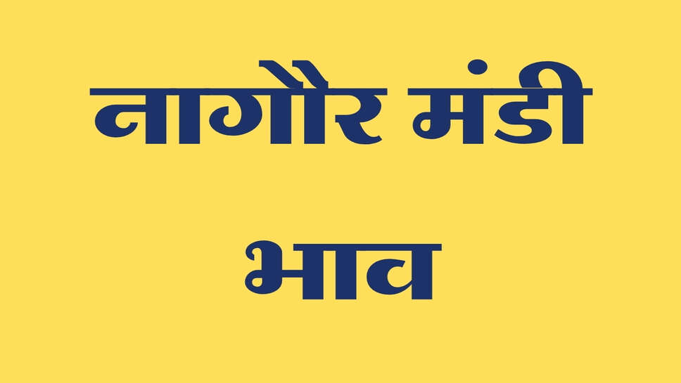 नागौर मंडी भाव 23 सितंबर 2026: मूंग-ज्वार में तेजी, जीरा व ग्वार में नरमी