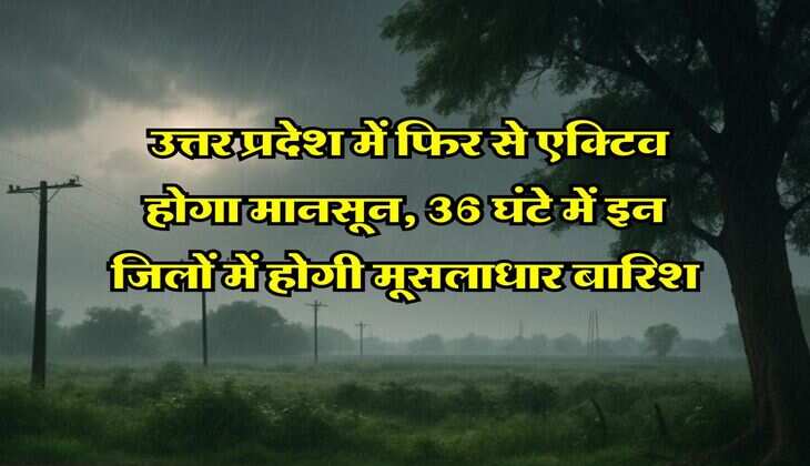 UP Rains : उत्तर प्रदेश में फिर से एक्टिव होगा मानसून, 36 घंटे में इन जिलों में होगी मूसलाधार बारिश