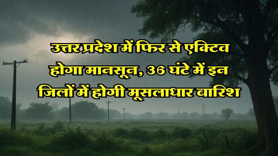 UP Rains : उत्तर प्रदेश में फिर से एक्टिव होगा मानसून, 36 घंटे में इन जिलों में होगी मूसलाधार बारिश
