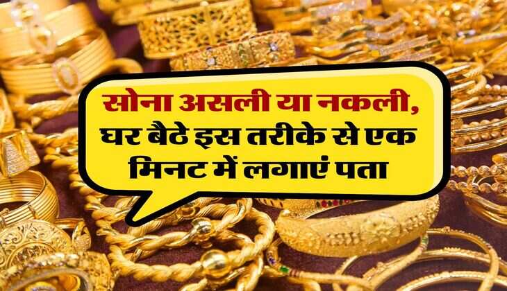 Gold Purity : सोना असली या नकली, घर बैठे इस तरीके से कर सकते हैं पता