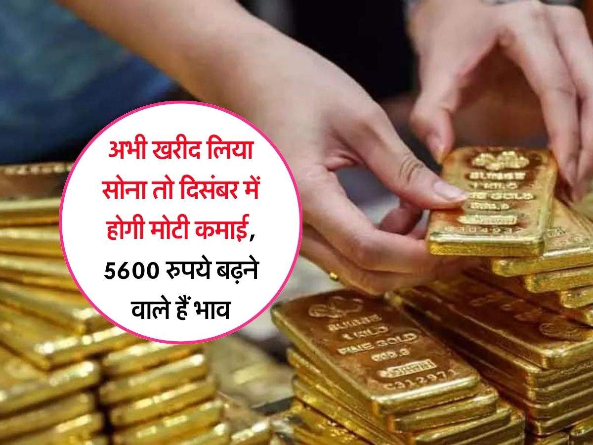 Gold Price Today : अभी खरीद लिया सोना तो दिसंबर में होगी मोटी कमाई, 5600 रुपये बढ़ने वाले हैं भाव, चेक करें आज के रेट