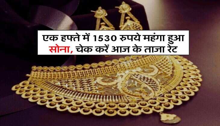 Gold Price Today: एक हफ्ते में&nbsp;1530 रुपये&nbsp;महंगा हुआ सोना, चेक करें आज के ताजा रेट