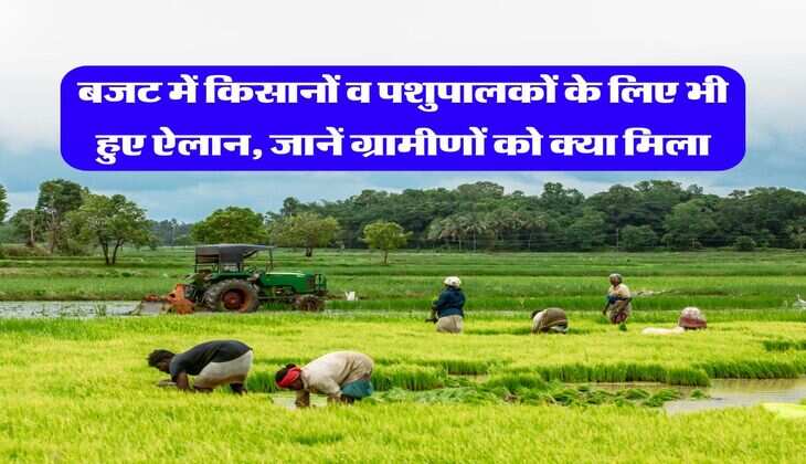 Budget 2026 for Youth : बजट में किसानों व पशुपालकों के लिए भी हुए ऐलान, जानें ग्रामीणों को क्या मिला