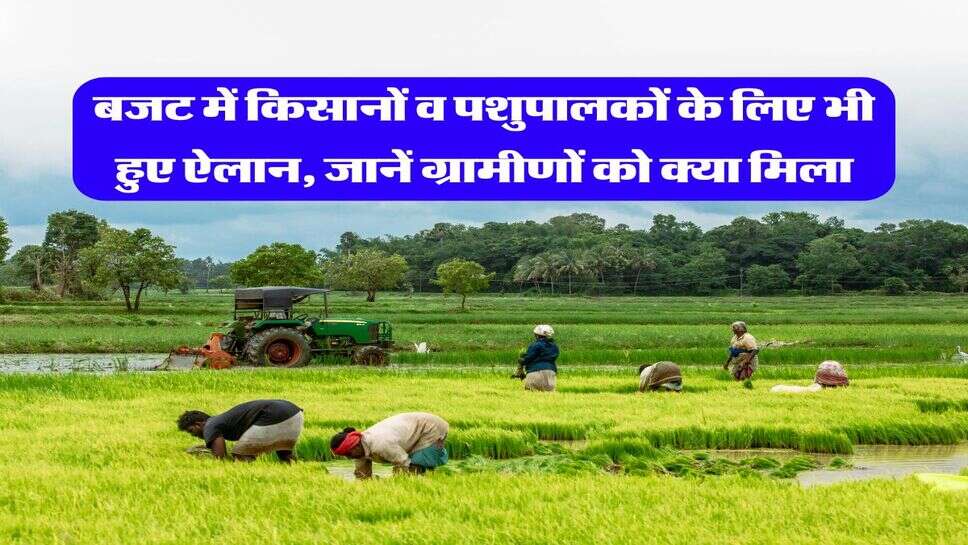 Budget 2026 for Youth : बजट में किसानों व पशुपालकों के लिए भी हुए ऐलान, जानें ग्रामीणों को क्या मिला