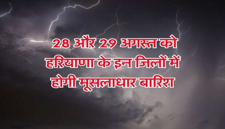 IMD Weateher : 28 और 29 अगस्त को हरियाणा के इन जिलों में होगी मूसलाधार बारिश