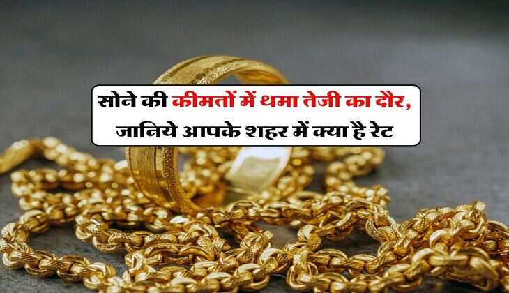 Gold Price : सोने की कीमतों में थमा तेजी का दौर, जानिये आपके शहर में क्या है रेट