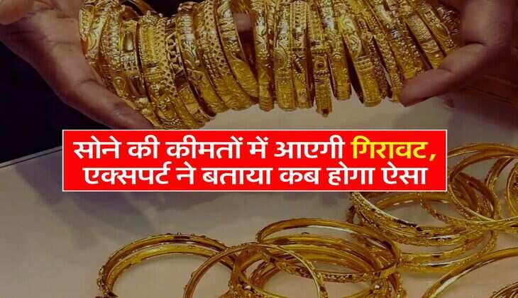 Gold Price : सोने की कीमतों में आएगी गिरावट, एक्सपर्ट ने बताया कब होगा ऐसा