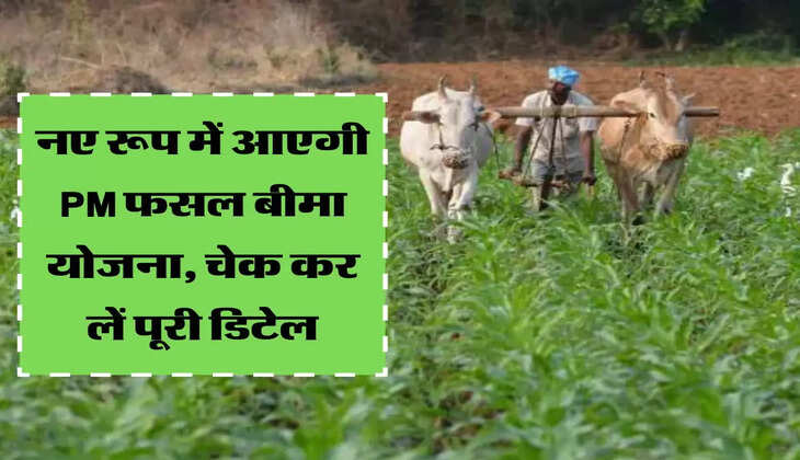 Fasal Bima Yojna :&nbsp; नए रूप में आएगी PM फसल बीमा योजना, चेक कर लें पूरी डिटेल