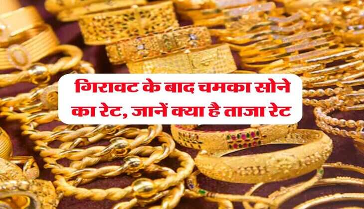 Gold Rate : गिरावट के बाद चमका सोने का रेट, जानें क्या है ताजा रेट