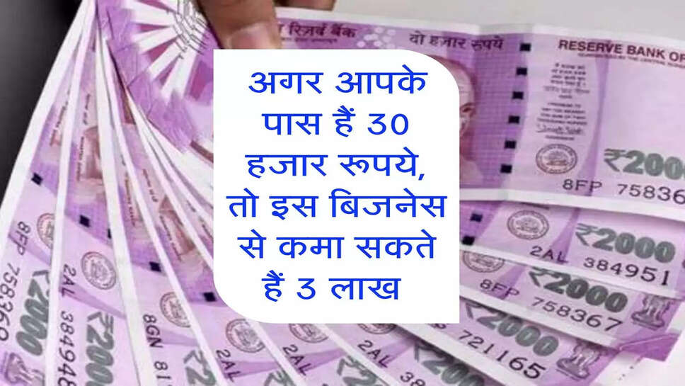 Business Ideas : अगर आपके पास हैं 30 हजार रूपये, तो इस बिजनेस से कमा सकते हैं 3 लाख&nbsp;