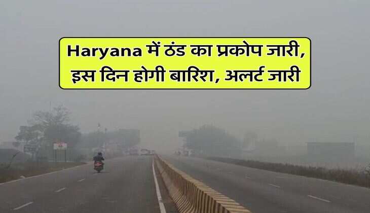 Haryana में ठंड का प्रकोप जारी, इस दिन होगी बारिश, अलर्ट जारी