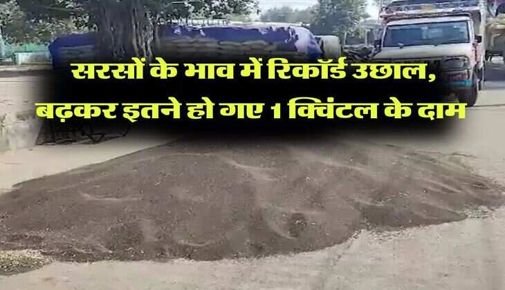 sarso ka bhav  : सरसों के भाव में रिकॉर्ड उछाल, बढ़कर इतने हो गए 1 क्विंटल के दाम