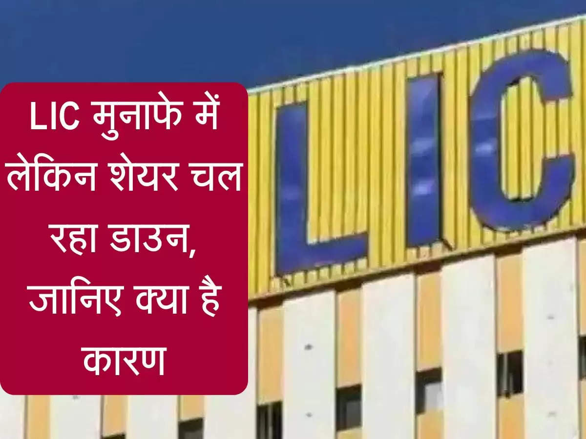 Share Market Today : LIC मुनाफे में लेकिन शेयर चल रहा डाउन, जानिए क्या है कारण