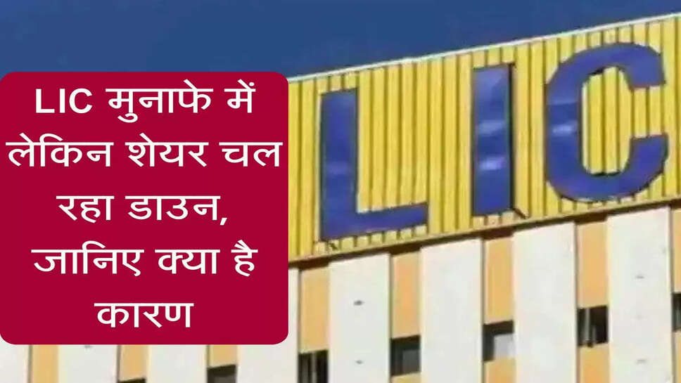 Share Market Today : LIC मुनाफे में लेकिन शेयर चल रहा डाउन, जानिए क्या है कारण