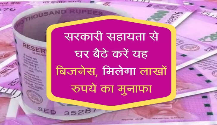 सरकारी सहायता से घर में करें यह बिजनेस, मिलेंगा लाखों रुपये का मुनाफा