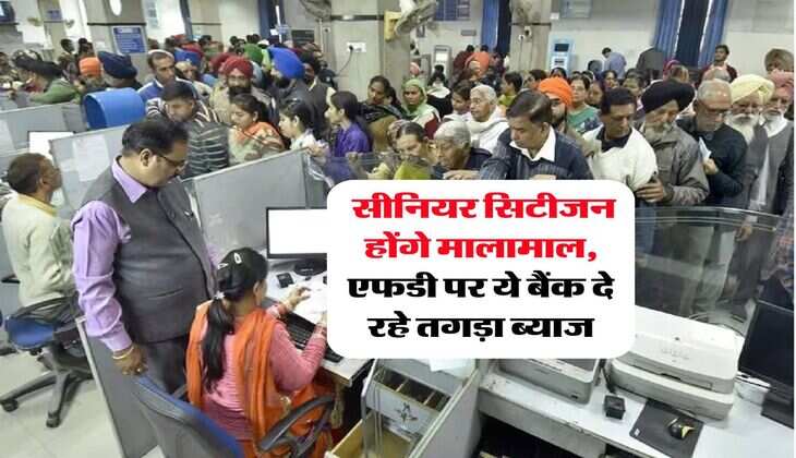 FD Rate : सीनियर सिटीजन होंगे मालामाल, एफडी पर ये बैंक दे रहे तगड़ा ब्याज