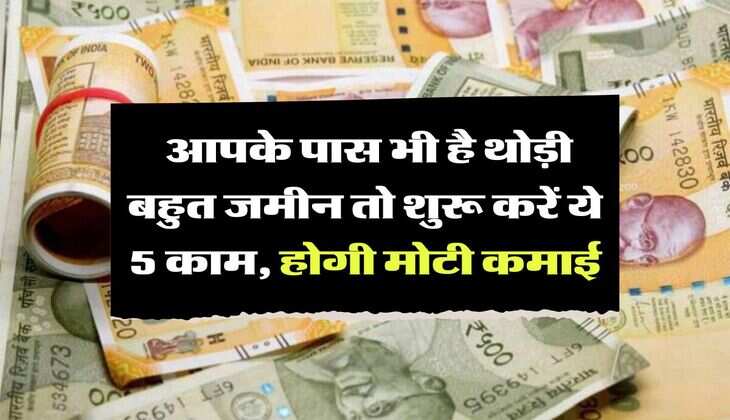 Business Idea: आपके पास भी है थोड़ी बहुत जमीन तो शुरू करें ये 5 काम, होगी मोटी कमाई