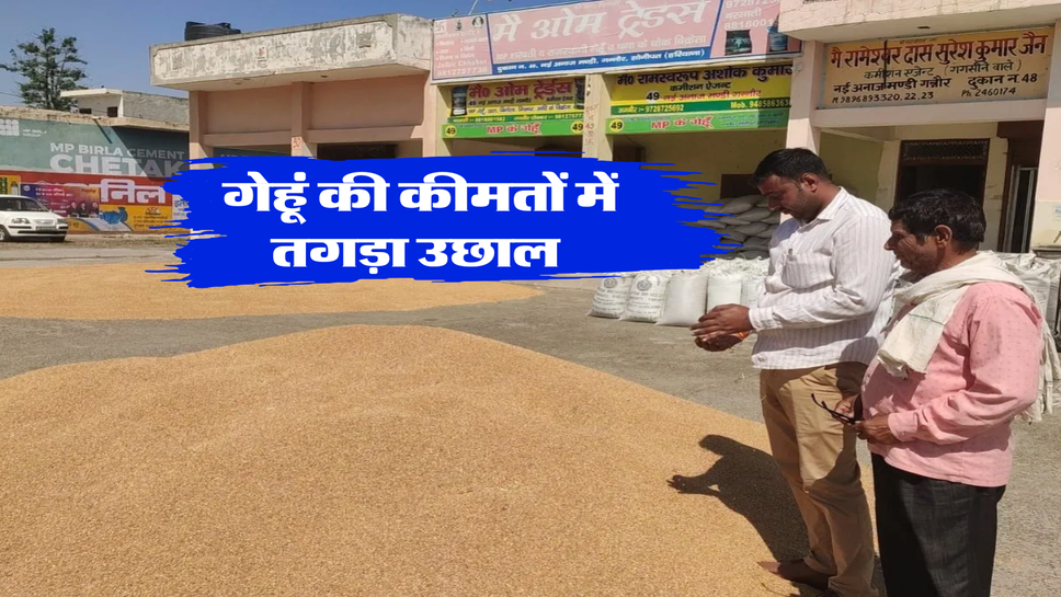 Gehu Ka bhav : गेहूं की कीमतों में तगड़ा उछाल