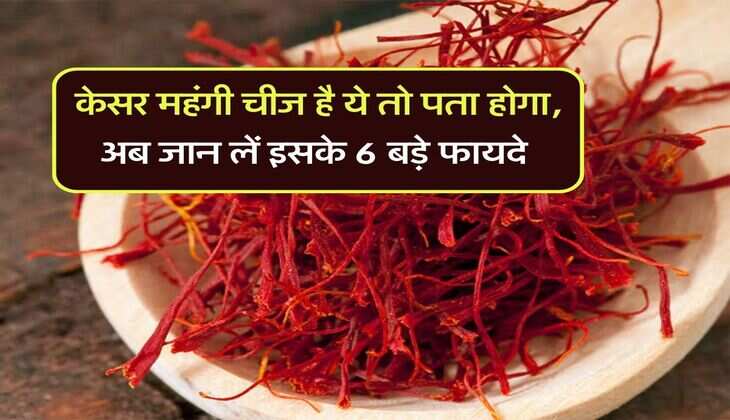 Saffron : केसर महंगी चीज है ये तो पता होगा, अब जान लें इसके 6 बड़े फायदे
