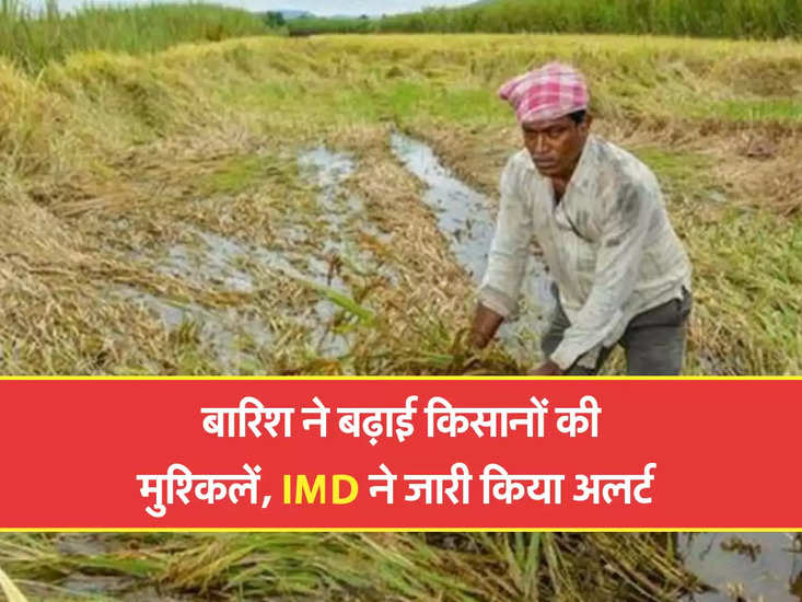 बारिश ने बढ़ाई किसानों की मुश्किलें, IMD ने जारी किया अलर्ट 