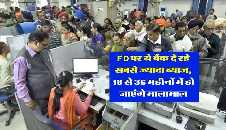FD पर ये बैंक दे रहे सबसे ज्यादा ब्याज, 18 से 36 महीनों में हो जाएंगे मालामाल