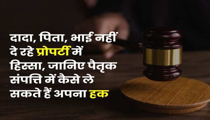 Ancestral Property Rights : दादा, पिता, भाई नहीं दे रहे प्रोपर्टी में हिस्सा, जानिए पैतृक संपत्ति में कैसे ले सकते हैं अपना हक