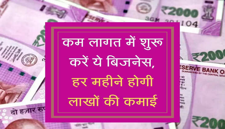 कम लागत में शुरू करें ये बिजनेस, हर महीने होगी लाखों की कमाई