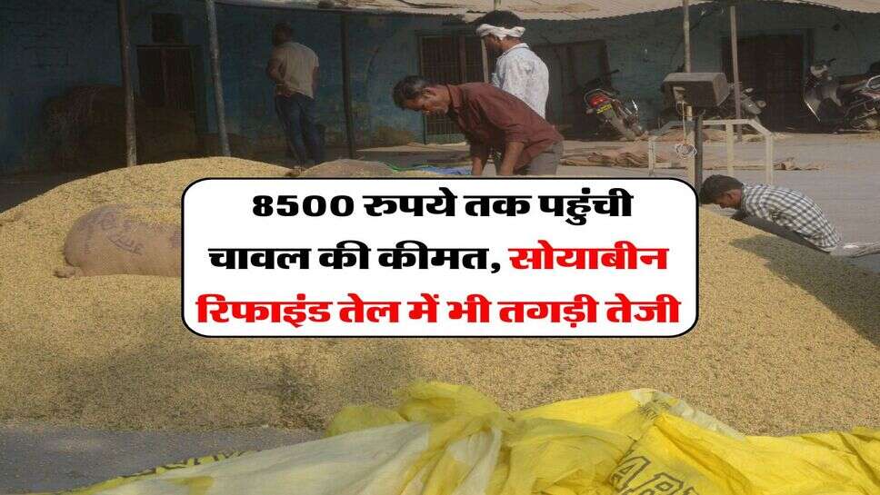Mandi Bhav : 8500 रुपये तक पहुंची चावल की कीमत, सोयाबीन रिफाइंड तेल में भी तगड़ी तेजी