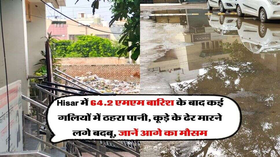Hisar में 64.2 एमएम बारिश के बाद कई गलियों में ठहरा पानी, कूड़े के ढेर मारने लगे बदबू, जानें आगे का मौसम