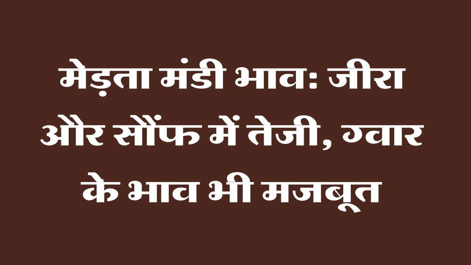 मेड़ता मंडी भाव: जीरा और सौंफ में तेजी, ग्वार के भाव भी मजबूत