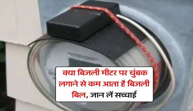 Electricity Bill : क्या बिजली मीटर पर चुंबक लगाने से कम आता है बिजली बिल, जान लें सच्चाई