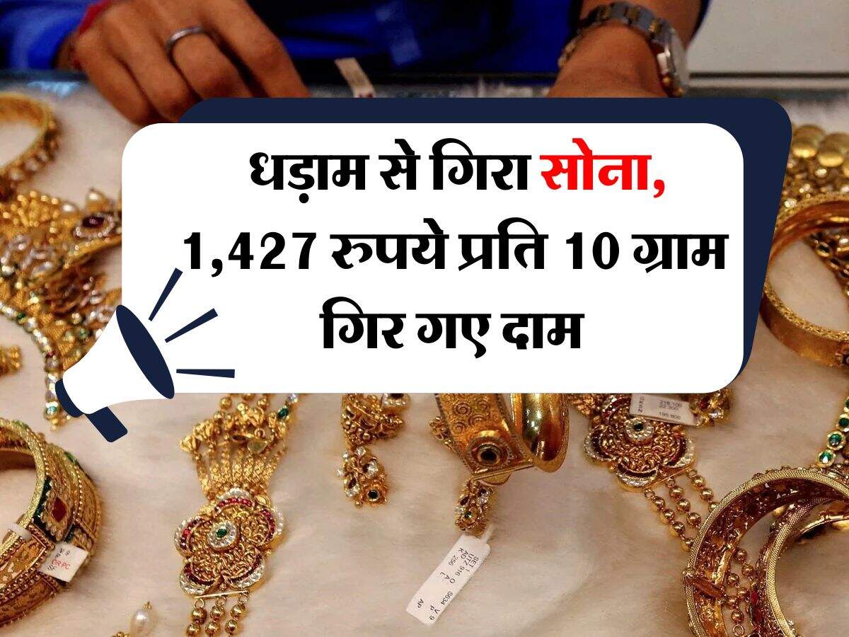Gold Rate : धड़ाम से गिरा सोना, 1,427 रुपये प्रति 10 ग्राम गिर गए 