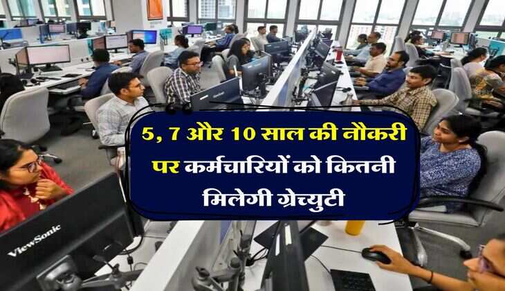 Gratuity Rules : 5, 7 और 10 साल की नौकरी पर कर्मचारियों को कितनी मिलेगी ग्रेच्युटी, ऐसे करें कैलकुलेट