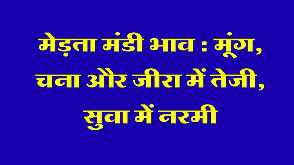 मेड़ता मंडी भाव 2 अक्टूबर 2026: मूंग, चना और जीरा में तेजी, सुवा में नरमी