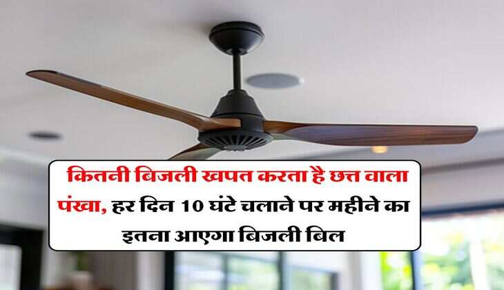 Electricity Bill : कितनी बिजली खपत करता है छत्त वाला पंखा, हर दिन 10 घंटे चलाने पर महीने का इतना आएगा बिजली बिल
