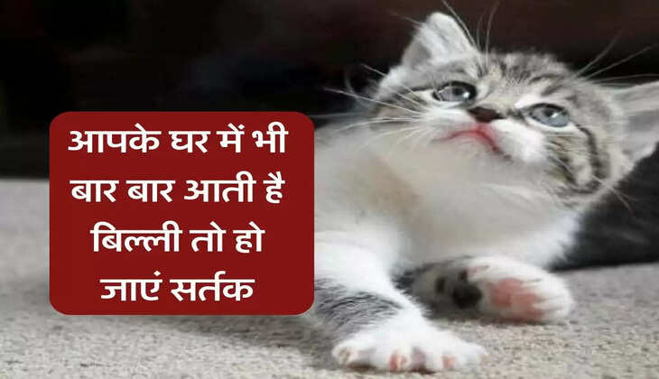 आपके घर में भी बार बार आती है बिल्ली तो हो जाएं सर्तक